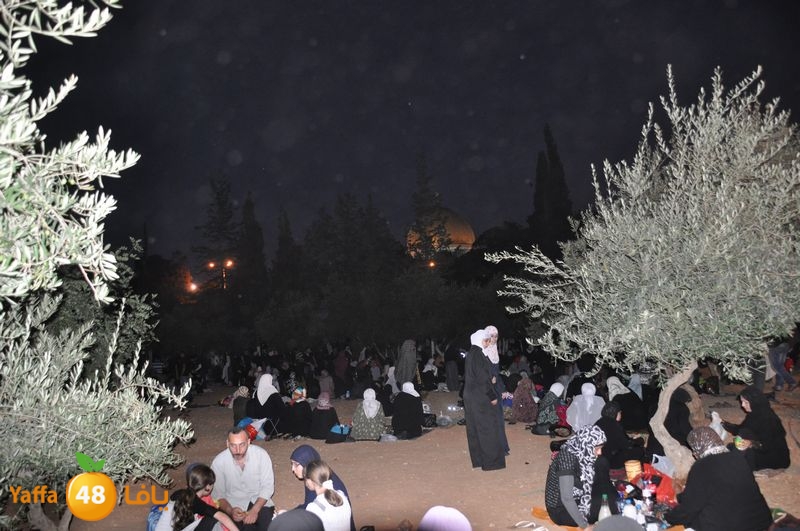 lud trawer7 aqsa 805 (32).JPG